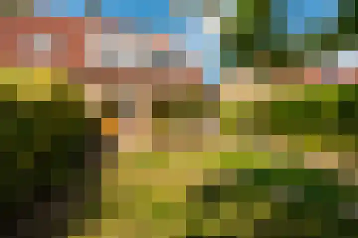 Eemweg 32 Culemborg thumbnail 27