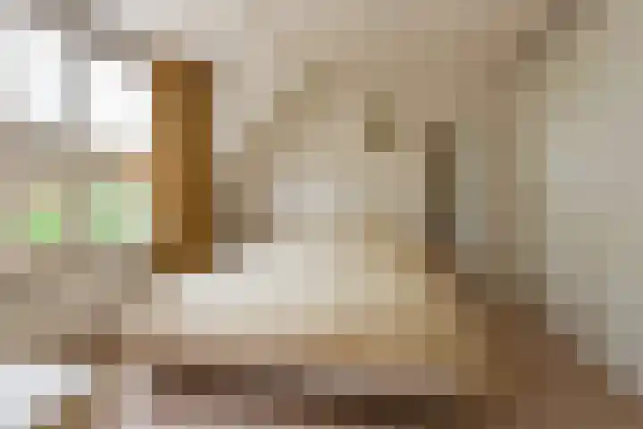 Eemweg 32 Culemborg thumbnail 30