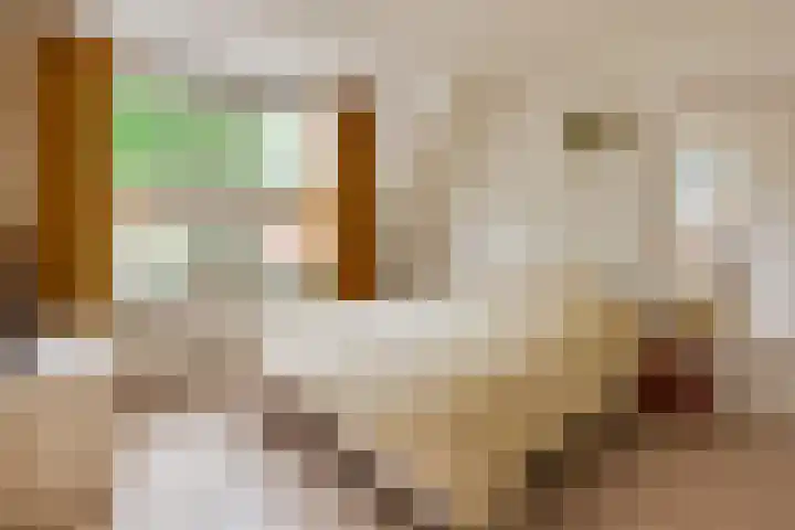Eemweg 32 Culemborg thumbnail 31