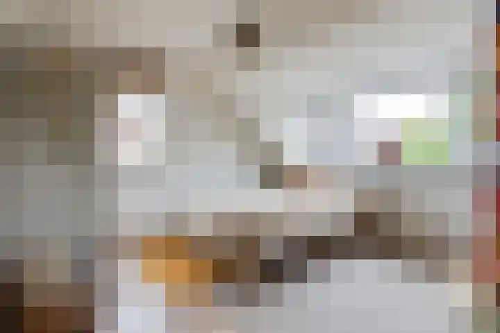 Eemweg 32 Culemborg thumbnail 34