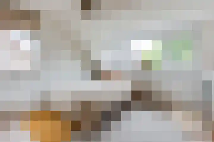 Eemweg 32 Culemborg thumbnail 35