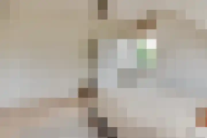 Eemweg 32 Culemborg thumbnail 36