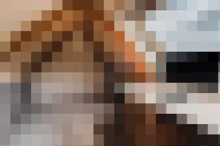 Eemweg 32 Culemborg thumbnail 40