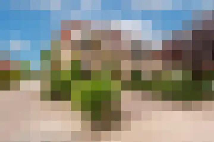 Eemweg 32 Culemborg thumbnail 43