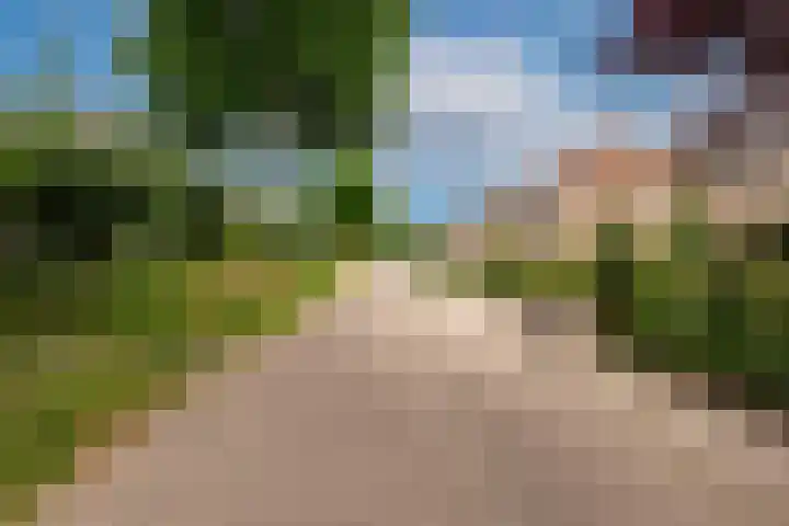 Eemweg 32 Culemborg thumbnail 6