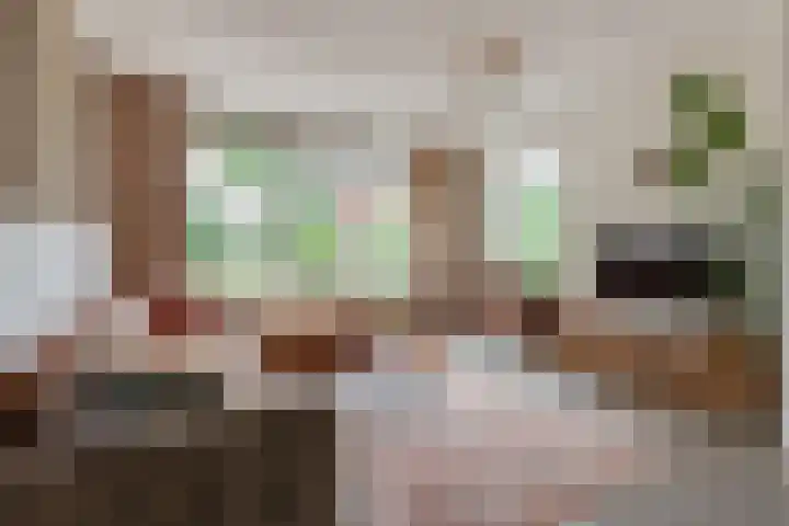 Eemweg 32 Culemborg thumbnail 7