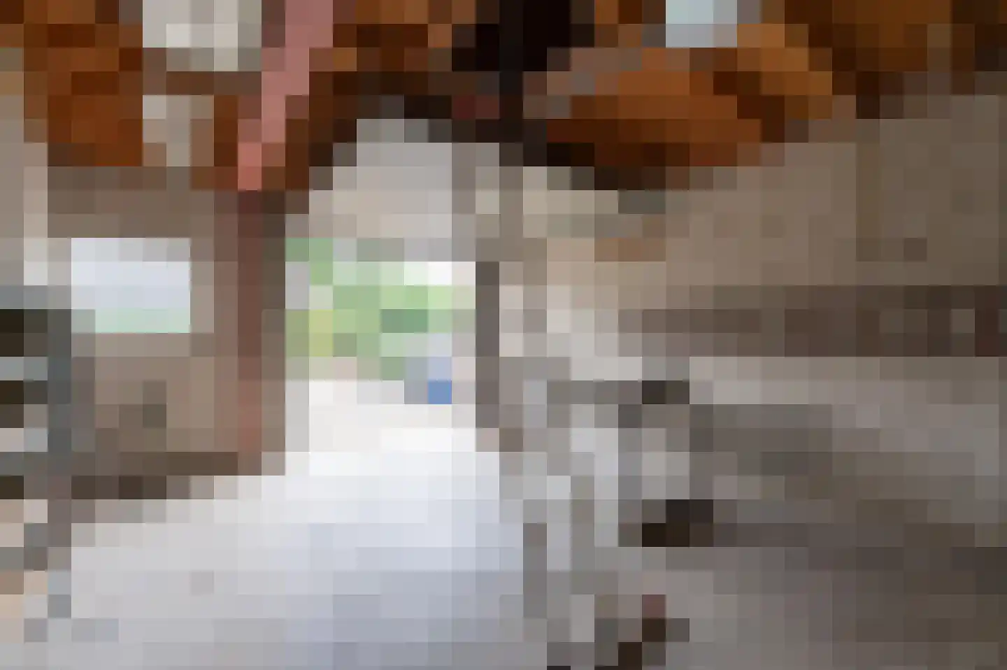Eemweg 37 Baarn thumbnail 34