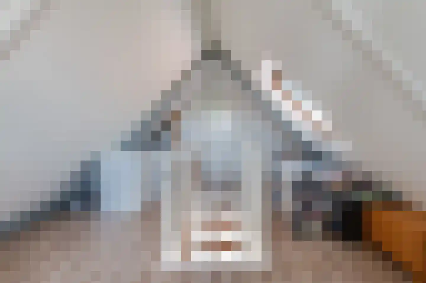 Eemweg 64 Culemborg thumbnail 31