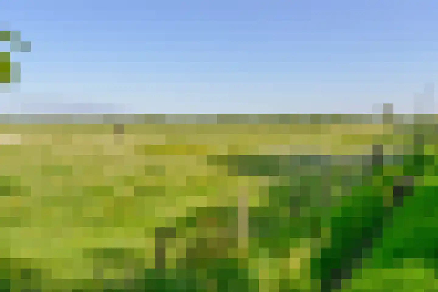 Eemweg 7 Soest thumbnail 14