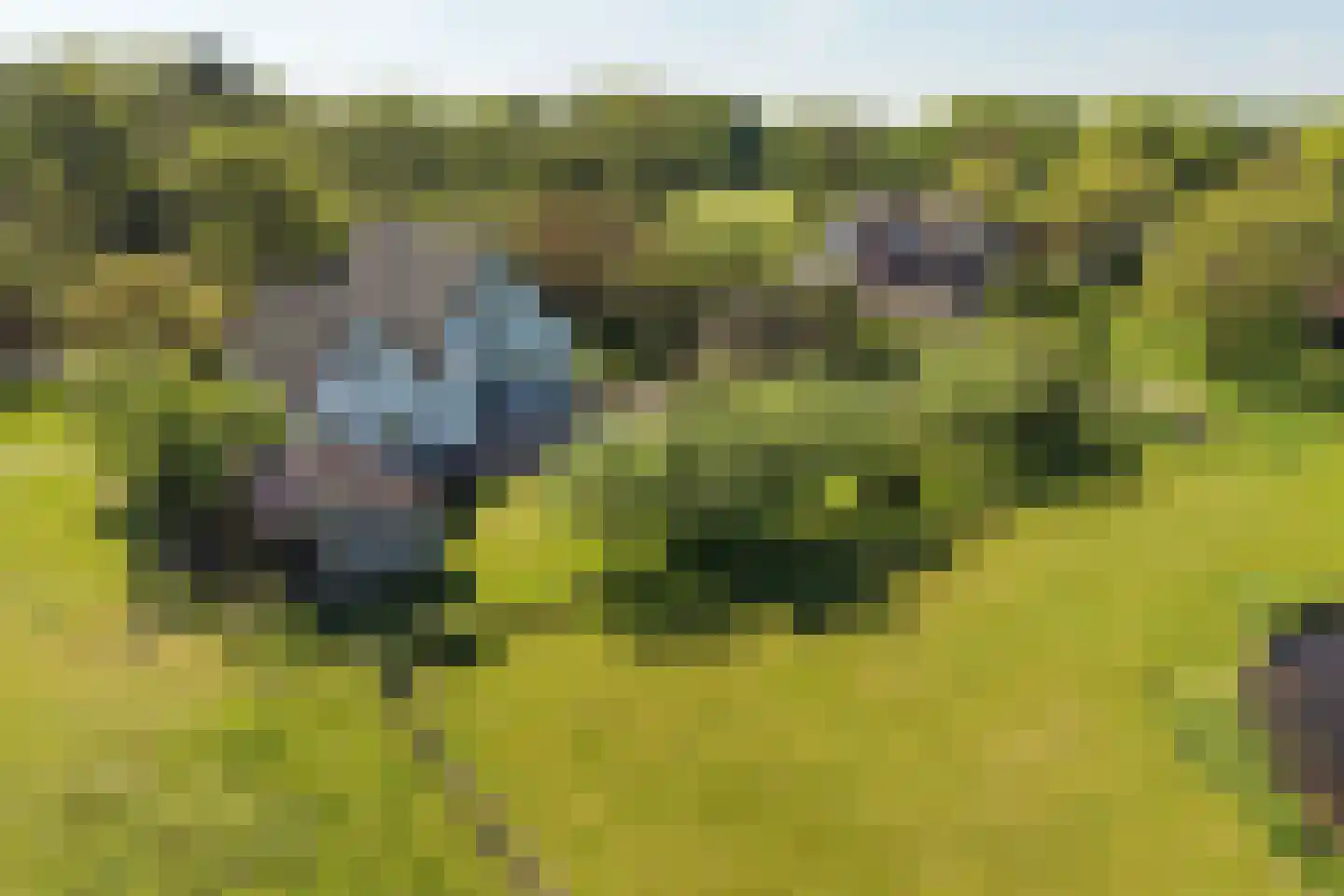 Eemweg 7 Soest thumbnail 38