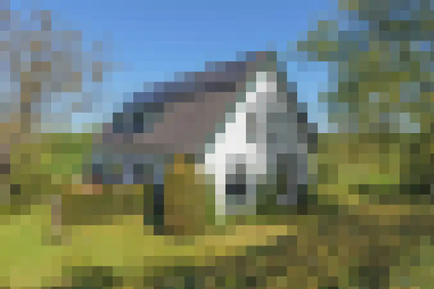 Eemweg 7 Soest thumbnail 5