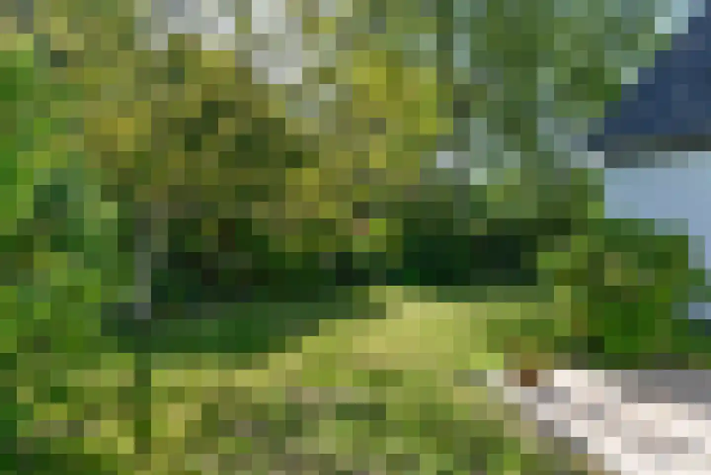 Eemweg 7 Soest thumbnail 8