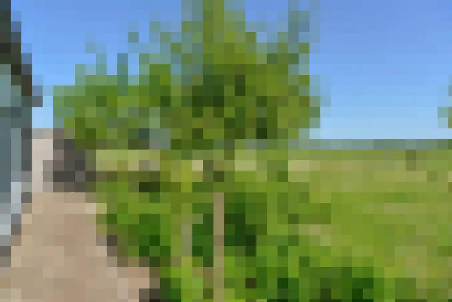 Eemweg 7 Soest thumbnail 9