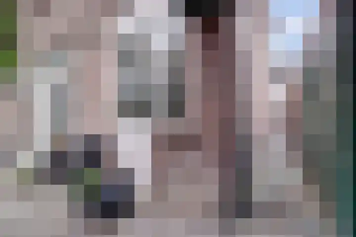 Eemwijkstraat 10 Voorburg thumbnail 24