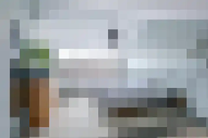 Eemwijkstraat 10 Voorburg thumbnail 38