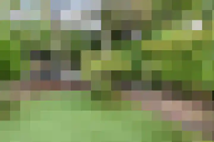 Eemwijkstraat 43 Voorburg thumbnail 42