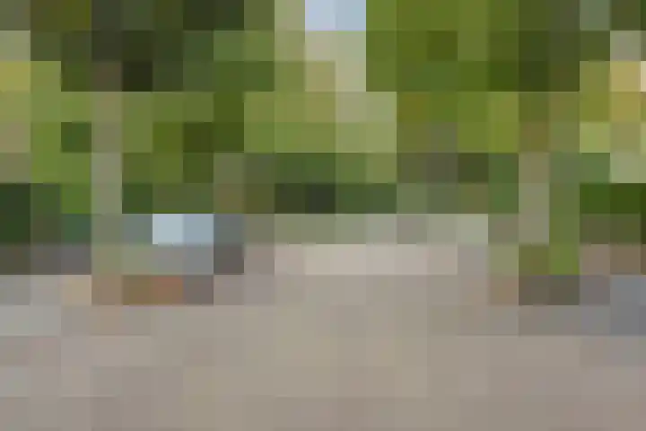 Eemwijkstraat 43 Voorburg thumbnail 6