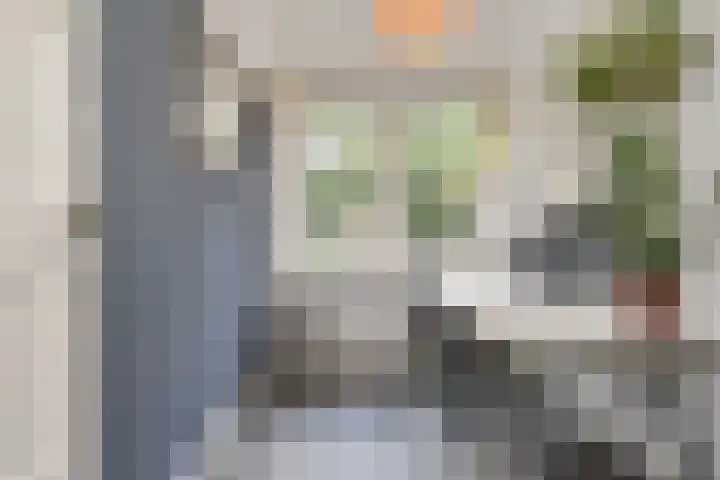 Eemwijkstraat 43 Voorburg thumbnail 64