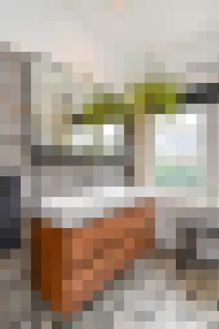Eemwijkstraat 43 Voorburg thumbnail 68