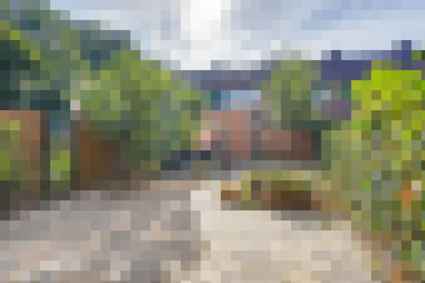Eenbes 14 Rotterdam thumbnail 13