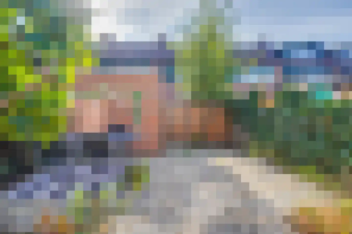 Eenbes 14 Rotterdam thumbnail 14