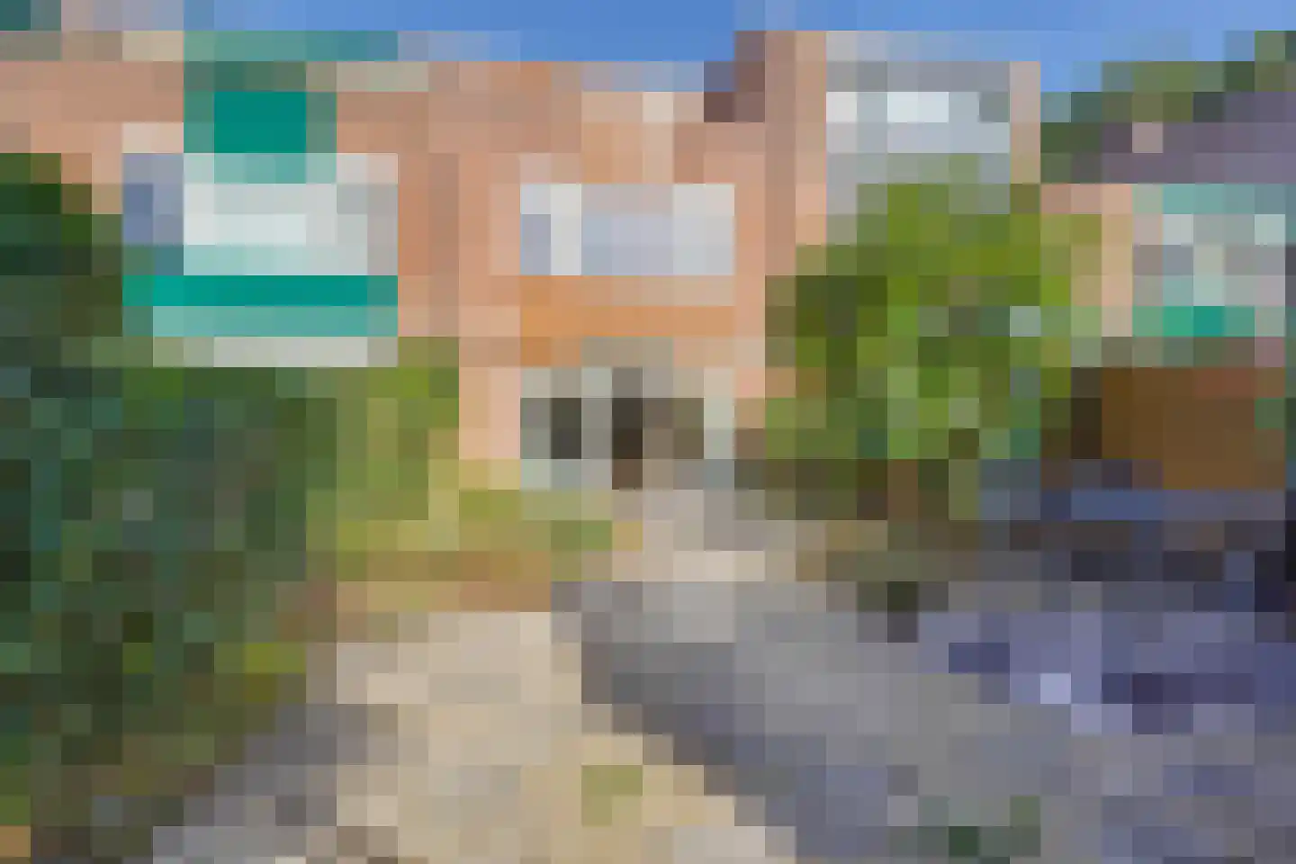 Eenbes 14 Rotterdam thumbnail 16
