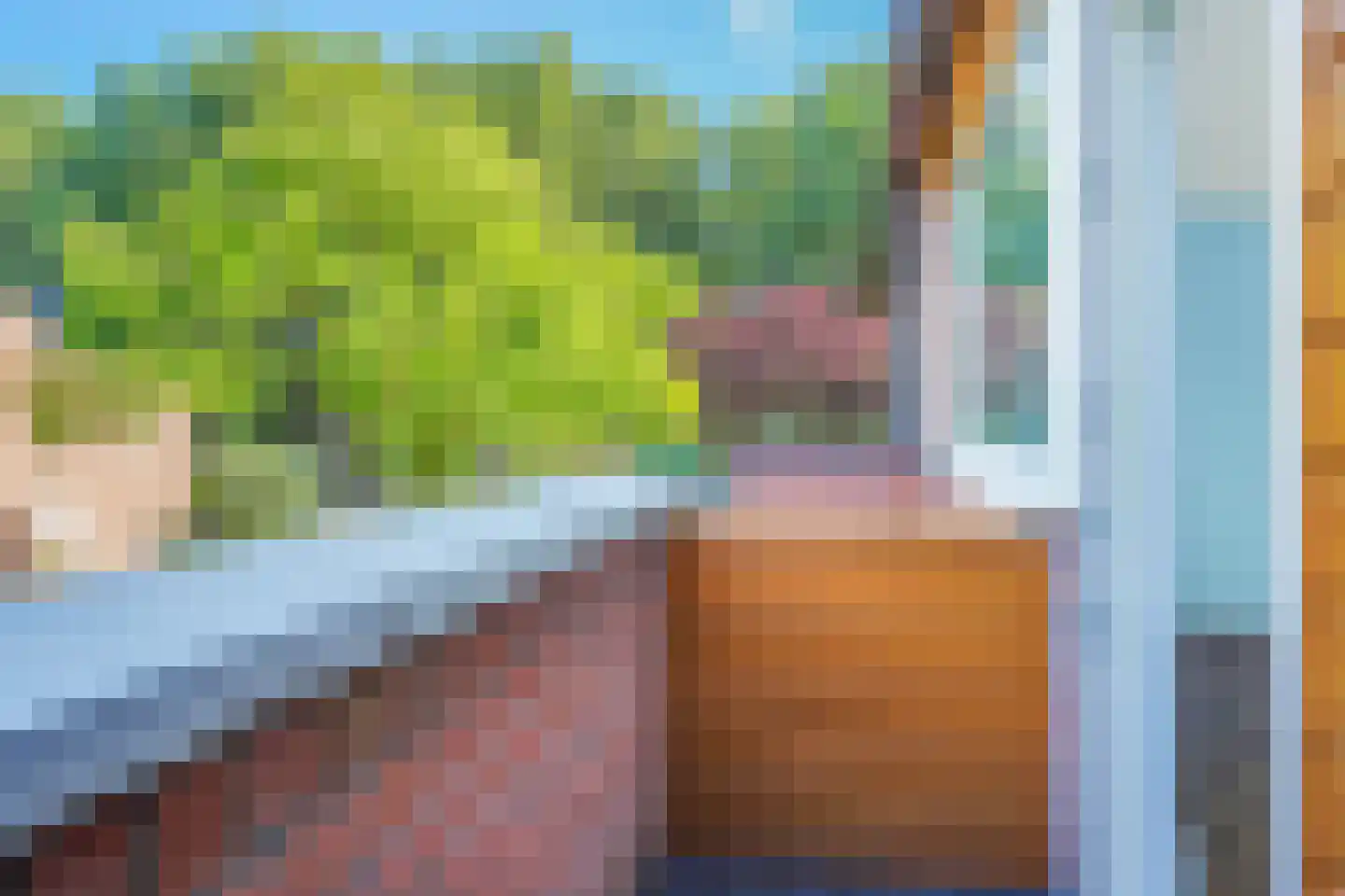 Eenbes 14 Rotterdam thumbnail 27