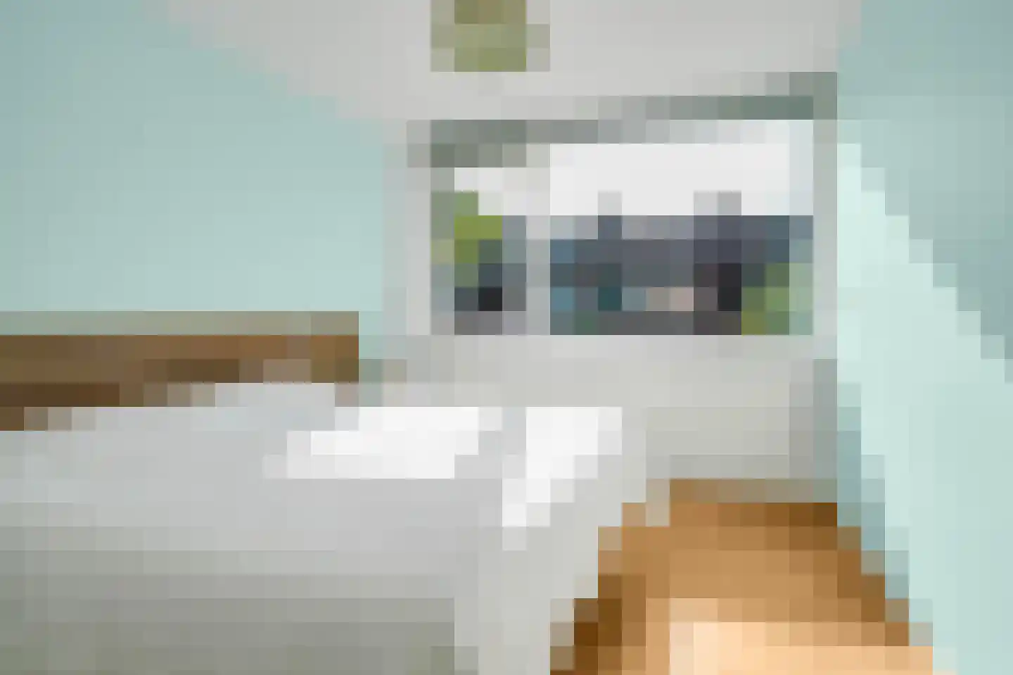 Eenbes 14 Rotterdam thumbnail 32