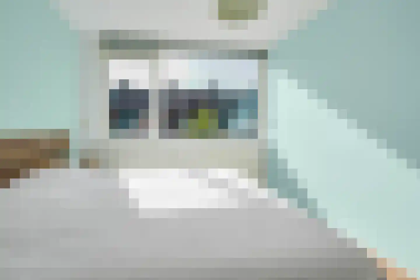 Eenbes 14 Rotterdam thumbnail 33