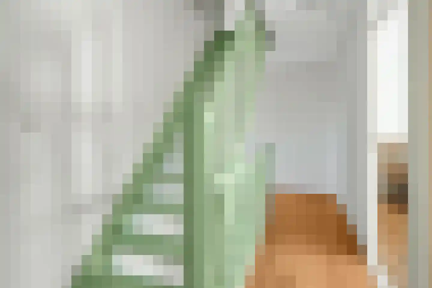 Eenbes 14 Rotterdam thumbnail 35