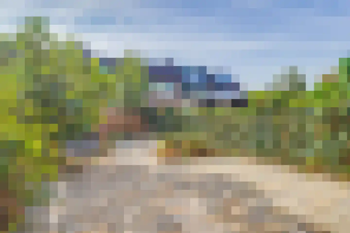 Eenbes 14 Rotterdam thumbnail 4