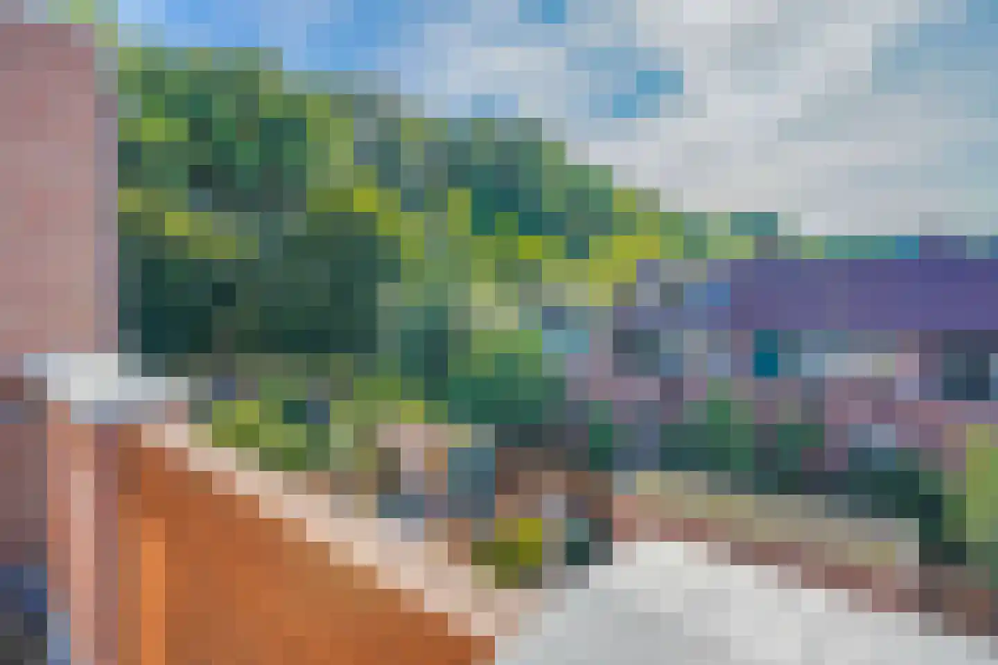 Eenbes 14 Rotterdam thumbnail 41
