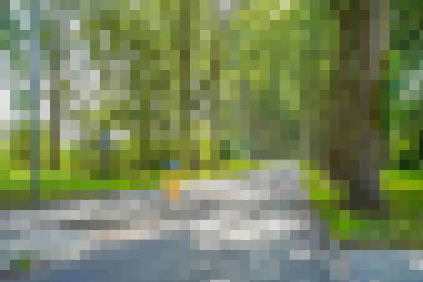 Eenbes 14 Rotterdam thumbnail 51
