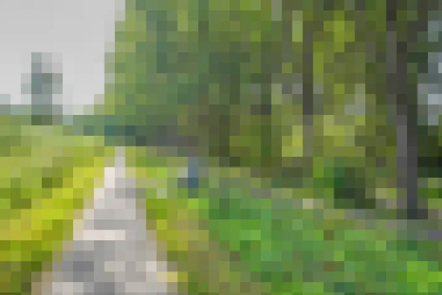 Eenbes 14 Rotterdam thumbnail 52