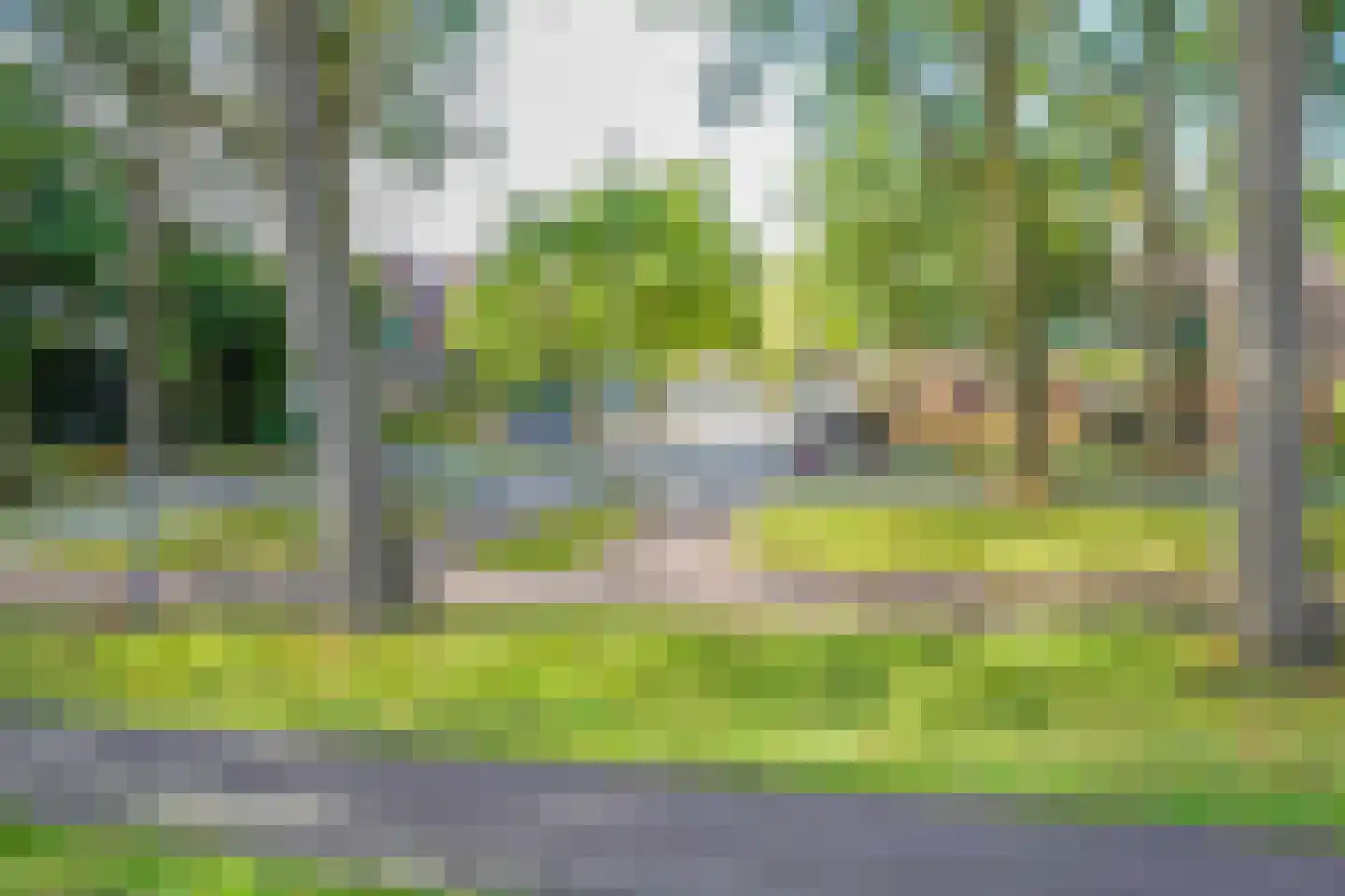Eenbes 14 Rotterdam thumbnail 53