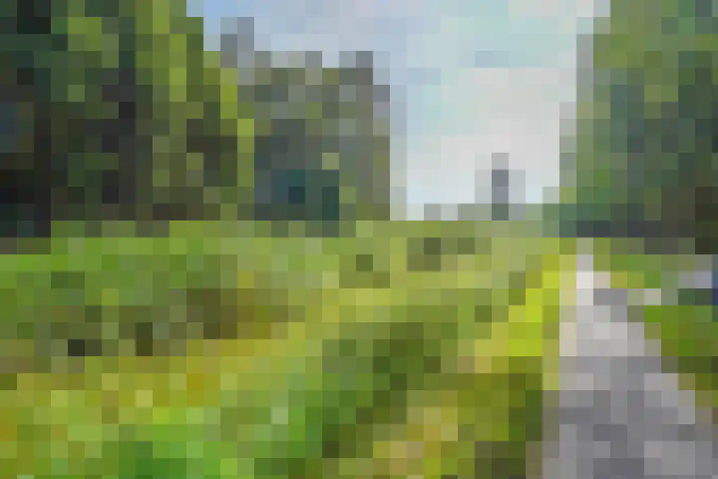 Eenbes 14 Rotterdam thumbnail 54