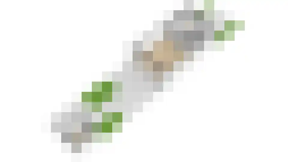 Eenbes 14 Rotterdam thumbnail 63