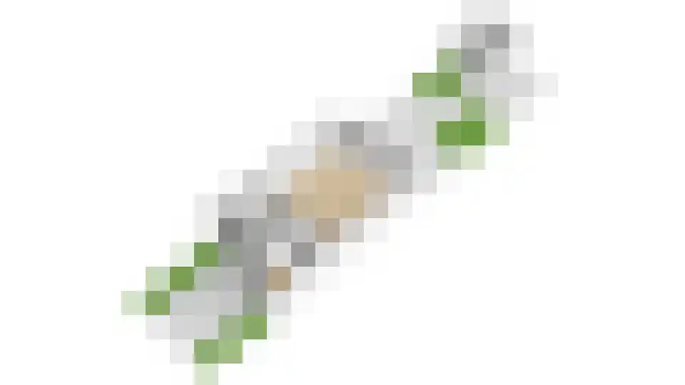 Eenbes 14 Rotterdam thumbnail 64