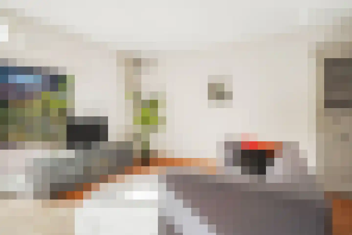 Eenbes 14 Rotterdam thumbnail 8
