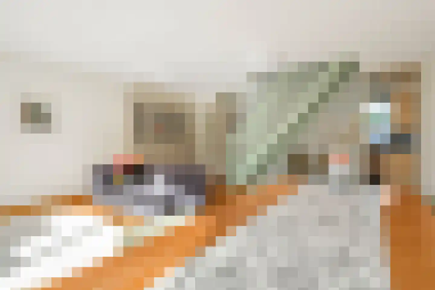 Eenbes 14 Rotterdam thumbnail 9