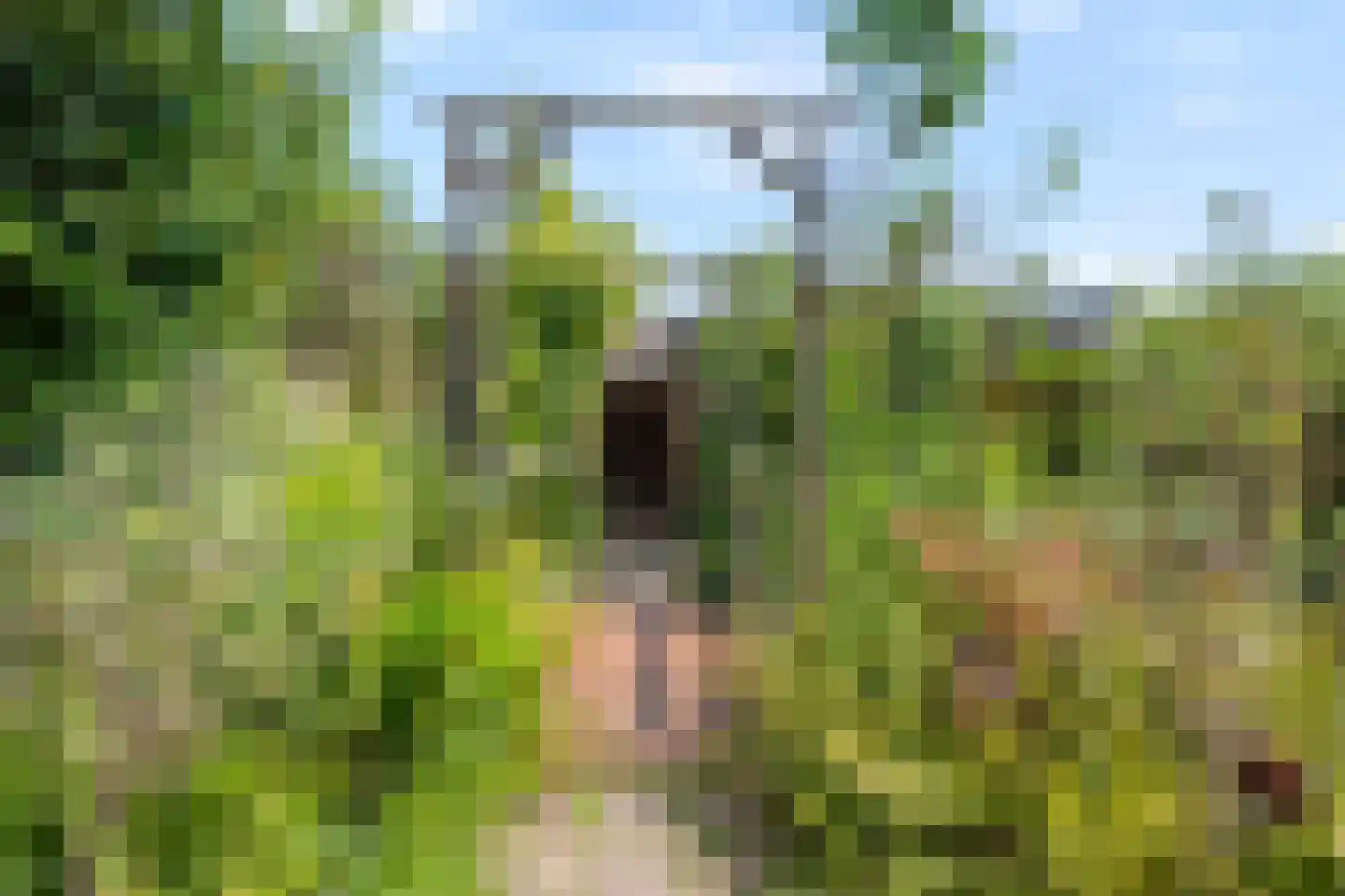 Eenbesweg 14 Nieuwstadt thumbnail 21