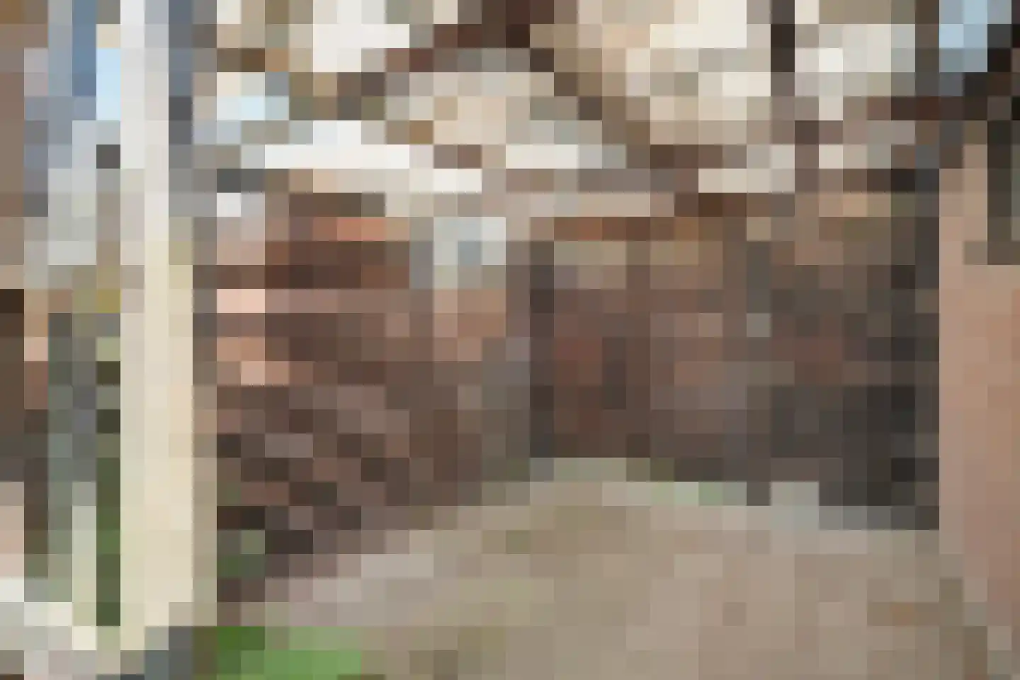 Eenbesweg 14 Nieuwstadt thumbnail 22