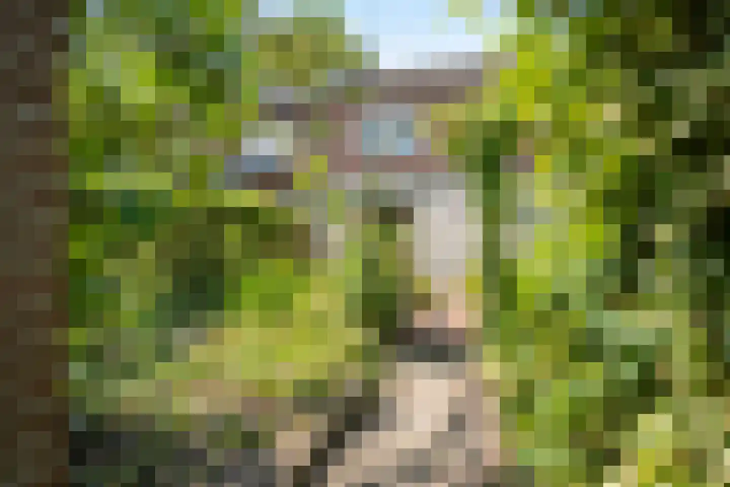 Eenbesweg 14 Nieuwstadt thumbnail 23