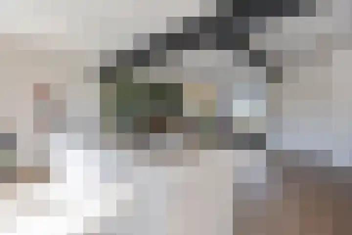 Eenbesweg 18 Nieuwstadt thumbnail 16
