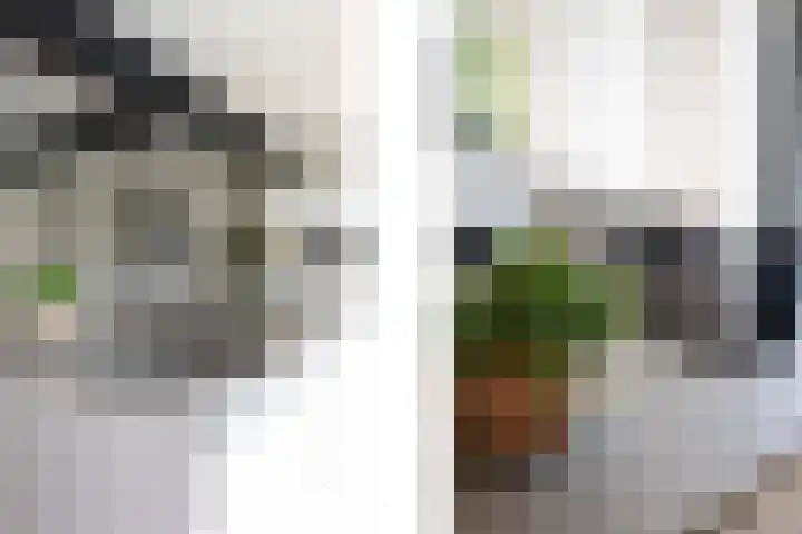 Eenbesweg 18 Nieuwstadt thumbnail 17
