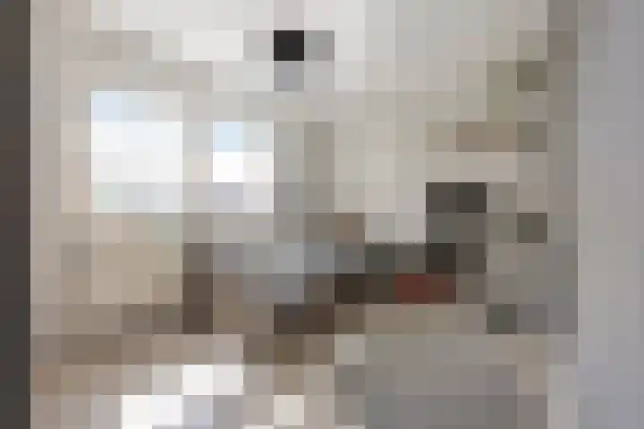 Eenbesweg 18 Nieuwstadt thumbnail 22