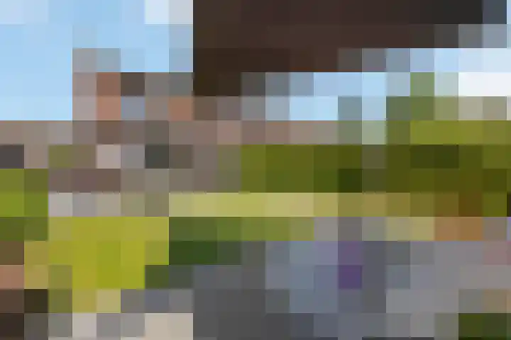 Eenbesweg 18 Nieuwstadt thumbnail 29