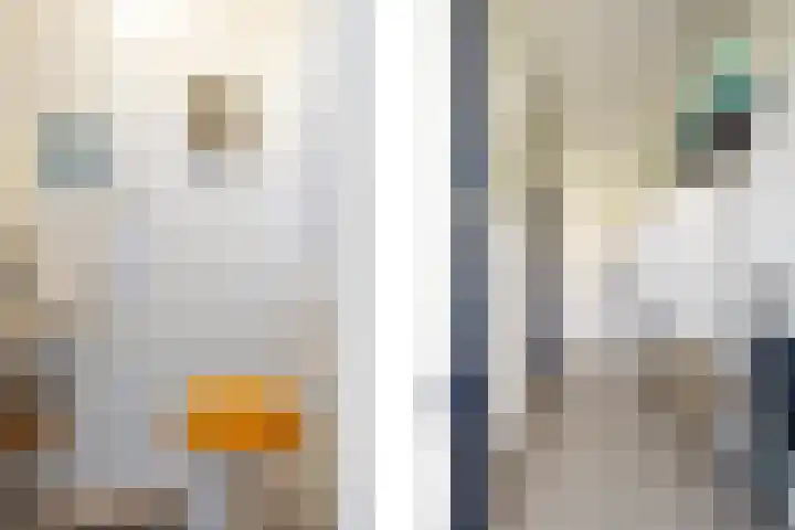 Eenbesweg 18 Nieuwstadt thumbnail 6