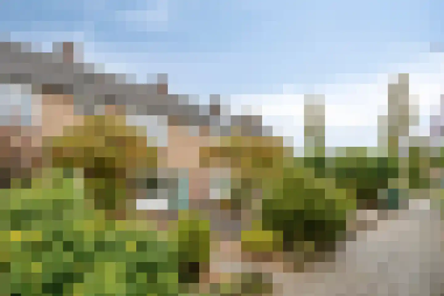 Eenbesweg 5 Nieuwstadt foto 3