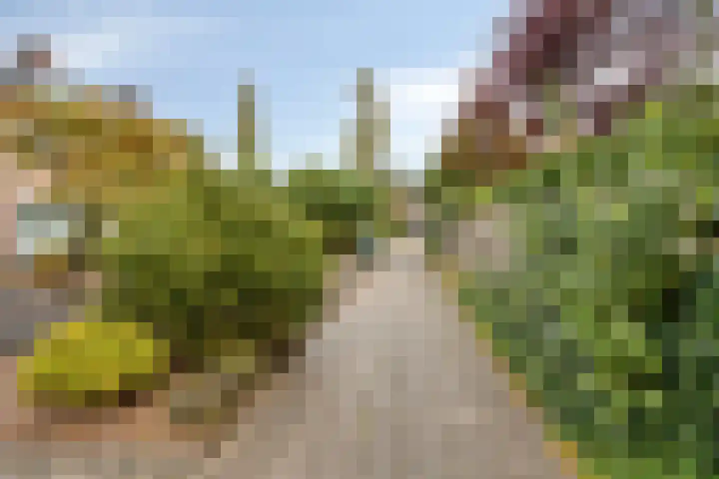 Eenbesweg 5 Nieuwstadt thumbnail 32
